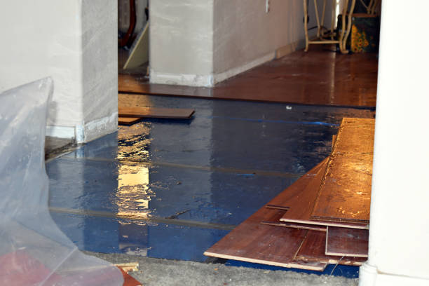 Professional Burst Pipe Cleanup technician working in Clinton, MA